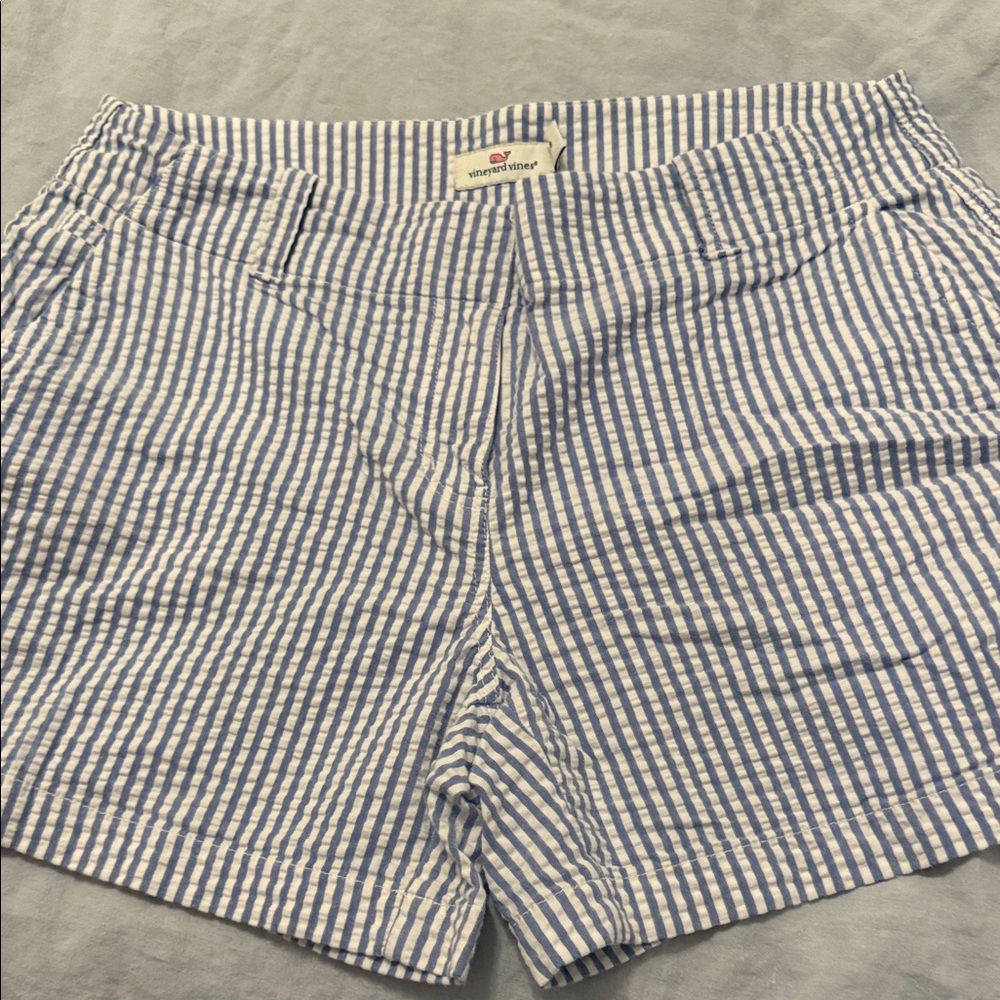 Vineyard Vines Blue and White Striped Shorts